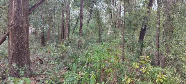 $25,000 | 1221 East Rhapsody Lane, Hernando, FL 34442