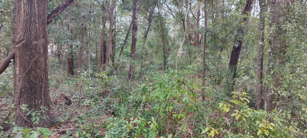 1221 East Rhapsody Lane Hernando, FL 34442 - Photo 10 of 14