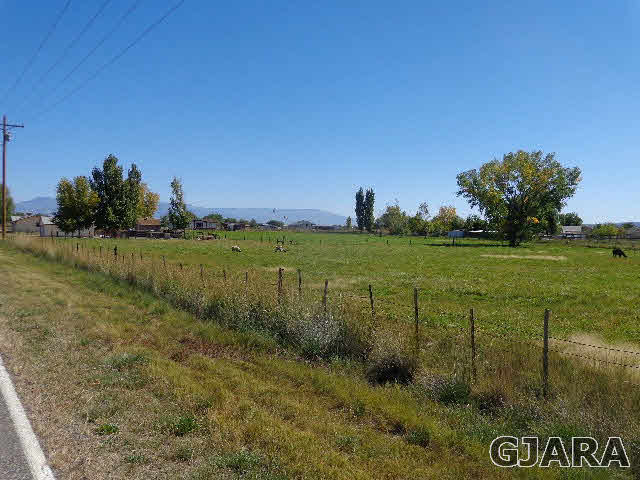 2049 I Road Fruita, CO 81521 - Photo 18 of 30 a view of a garden with a field