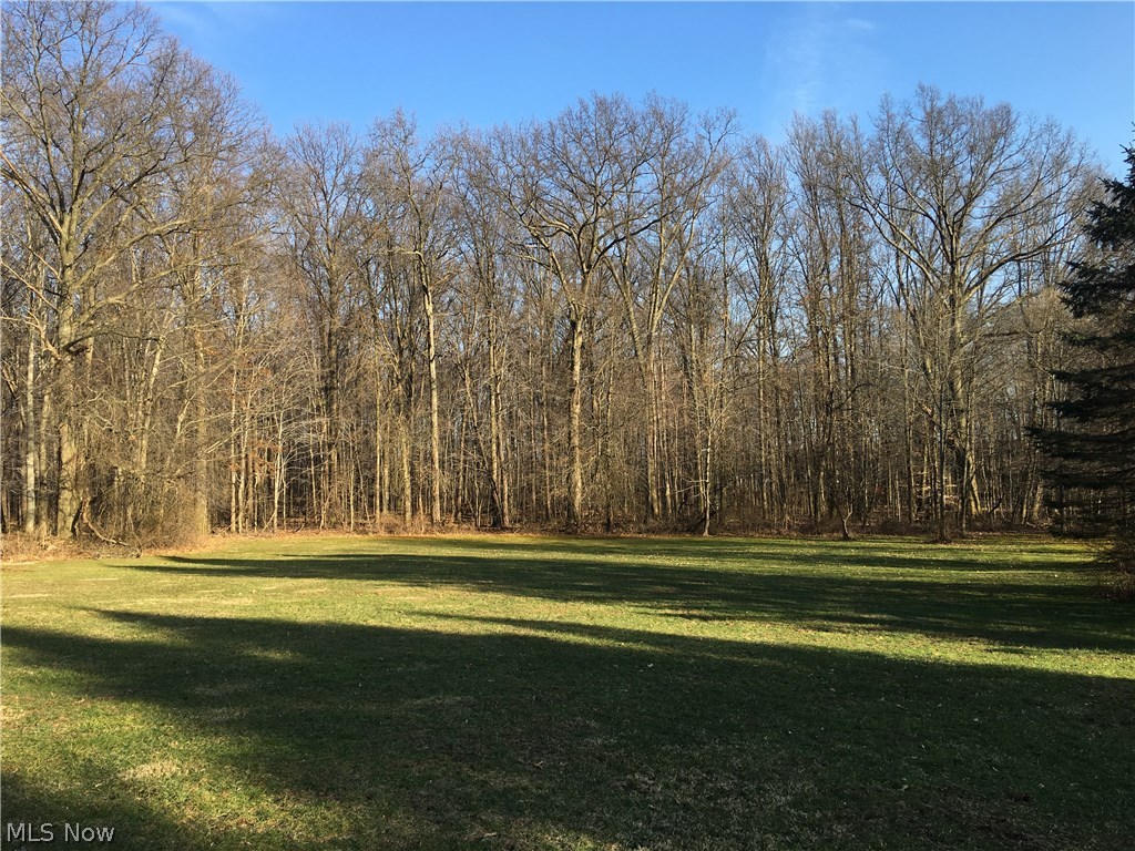 5579 State Road Wadsworth, OH 44281 - Photo 23 of 29