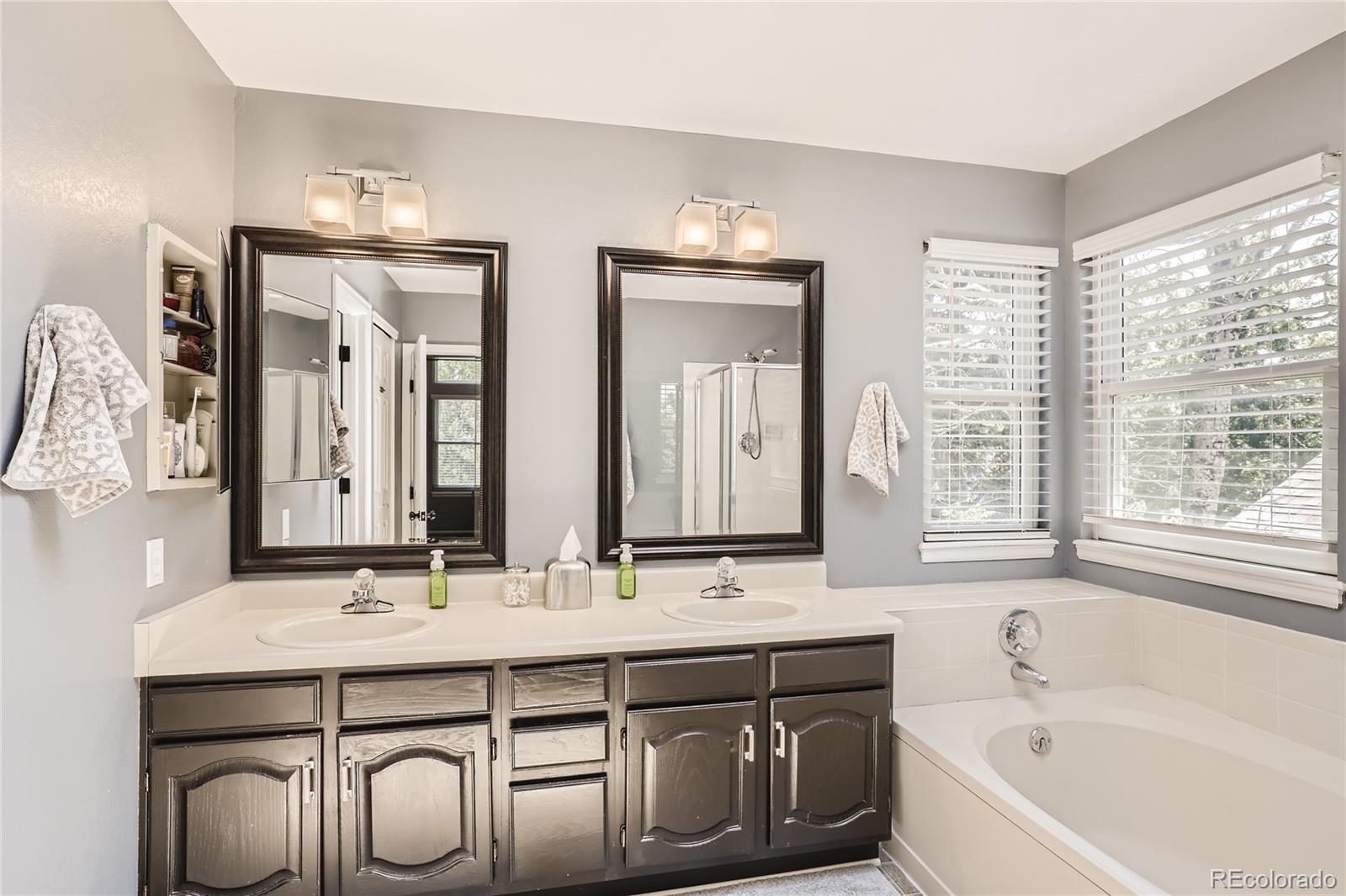 9674 Pinebrook Street Highlands Ranch, CO 80130 - Photo 15 of 28 Gallery Image 15