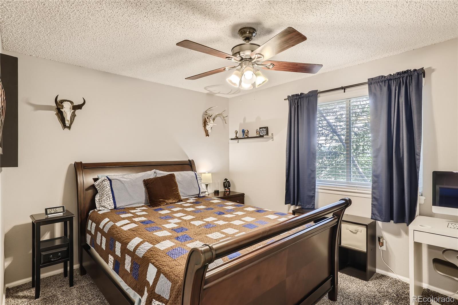 9674 Pinebrook Street Highlands Ranch, CO 80130 - Photo 17 of 28 Gallery Image 17