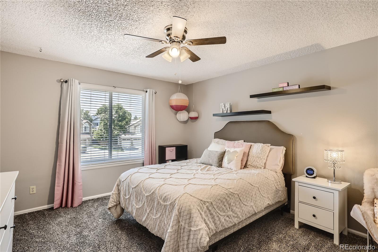 9674 Pinebrook Street Highlands Ranch, CO 80130 - Photo 19 of 28 Gallery Image 19