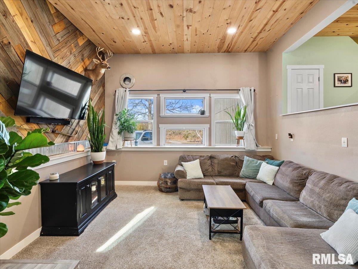 14107 German Church Road Johnston City, IL 62951 - Photo 2 of 27