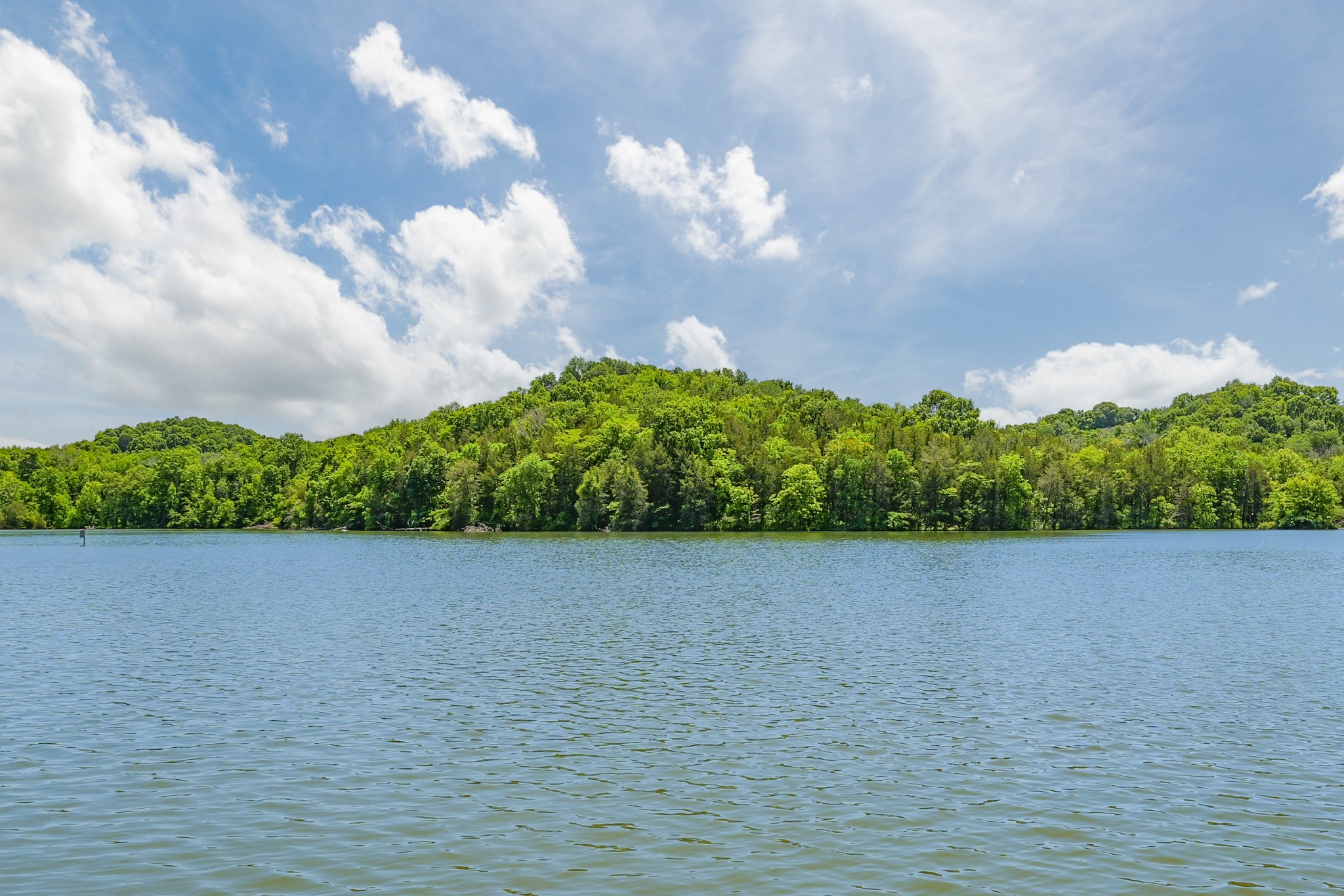 21 Lincoln Lake Road Kelso, TN 37348 - Photo 22 of 26 a view of a lake