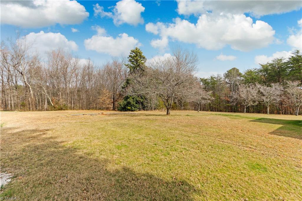 5532 Murphy Road Summerfield, NC 27358 - Photo 24 of 30 Back Yard
