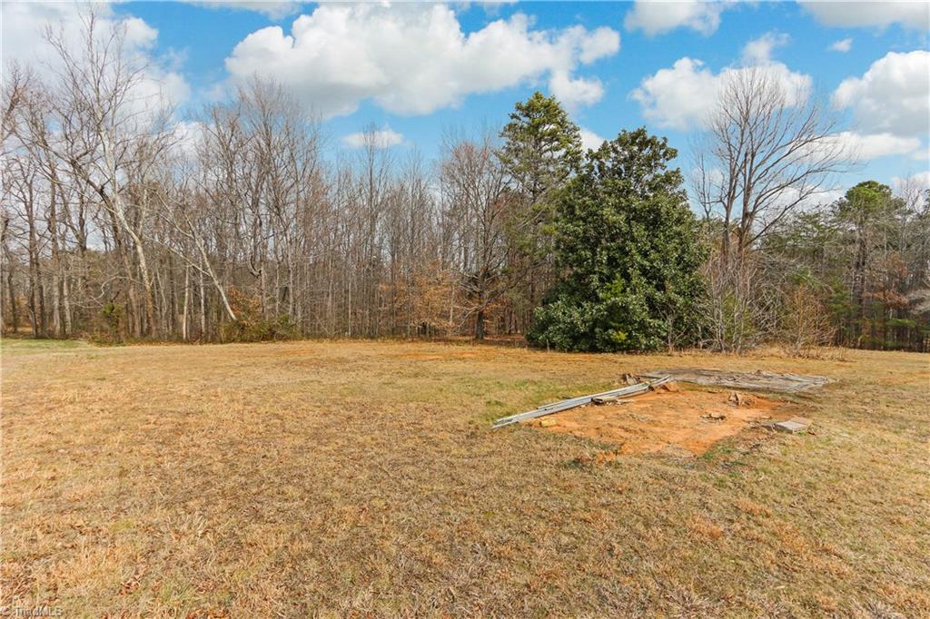 5532 Murphy Road Summerfield, NC 27358 - Photo 25 of 30 Back Yard
