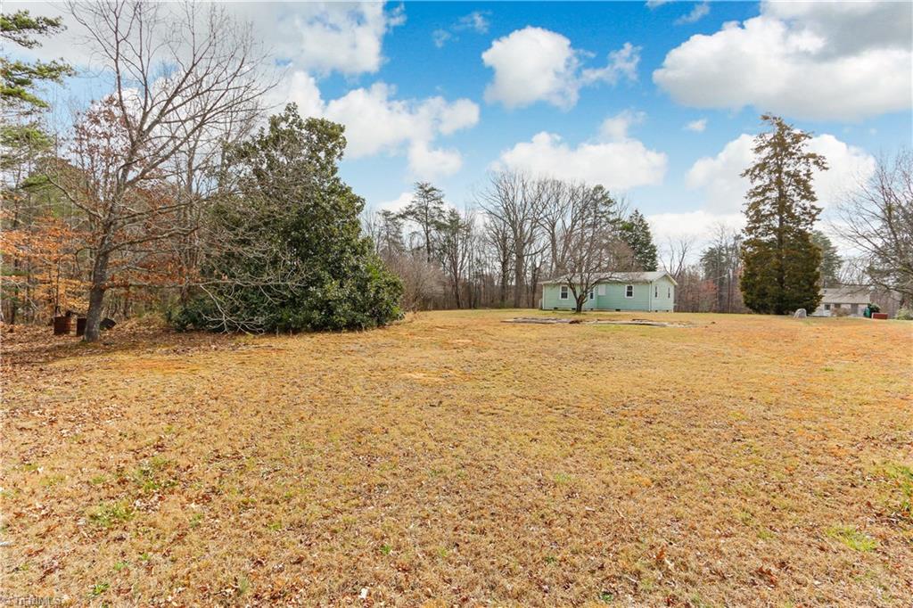 5532 Murphy Road Summerfield, NC 27358 - Photo 26 of 30 Back Yard