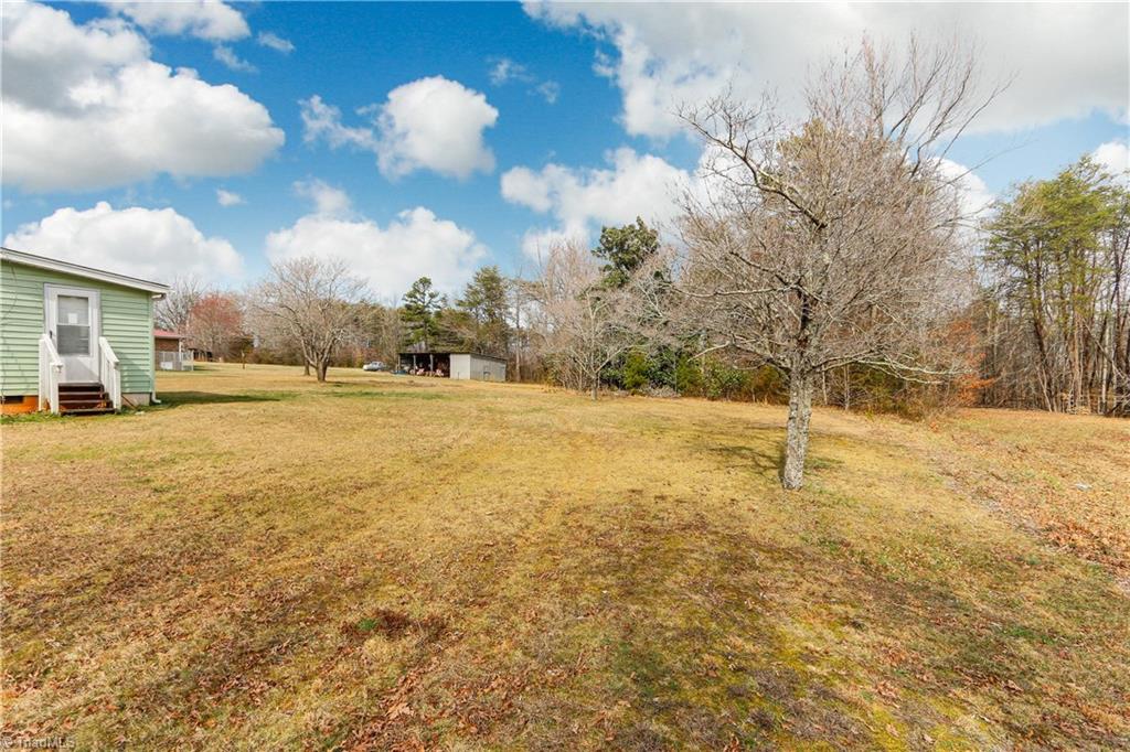5532 Murphy Road Summerfield, NC 27358 - Photo 28 of 30 Back Yard