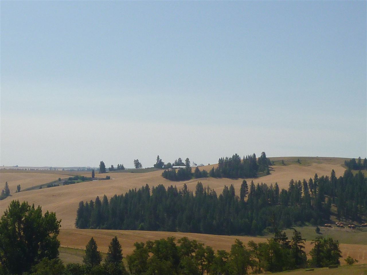 10824 South Kiesling Road Spokane, WA 99223 - Photo 4 of 20 Gallery Image 4