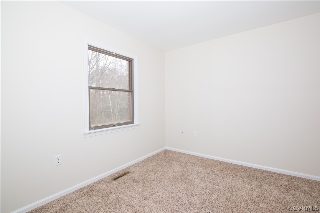 3971 Bull Neck Road Champlain, VA 22438 - Photo 18 of 28 Gallery Image 18