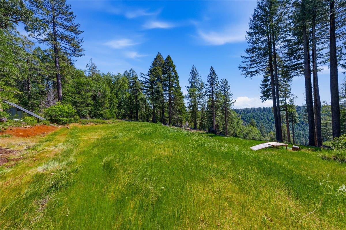 13907 Lightning Tree Road Nevada City, CA 95959 - Photo 1 of 1 Gallery Image 1