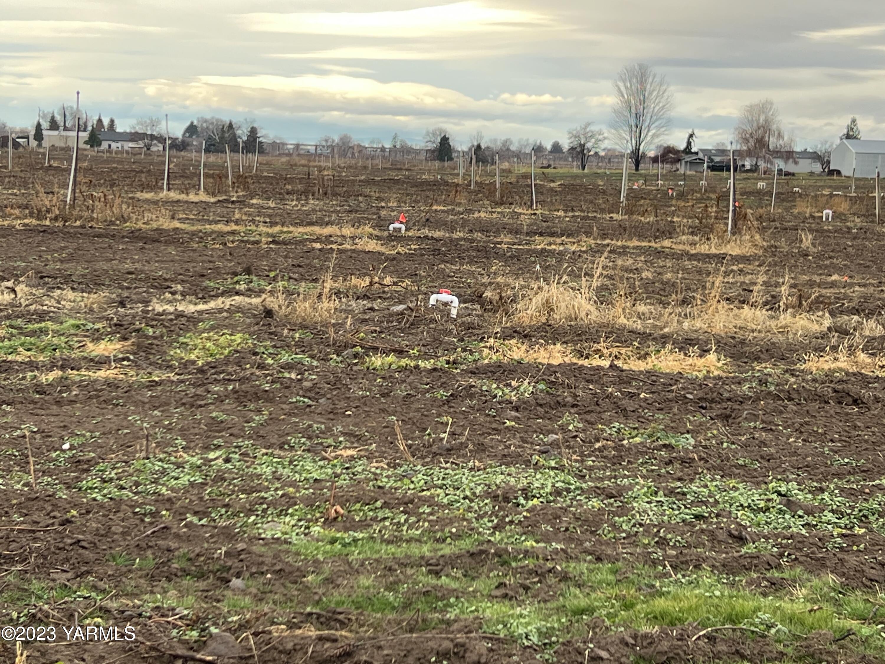 0 Hicks Road Grandview, WA 98930 - Photo 13 of 28 a view of a city