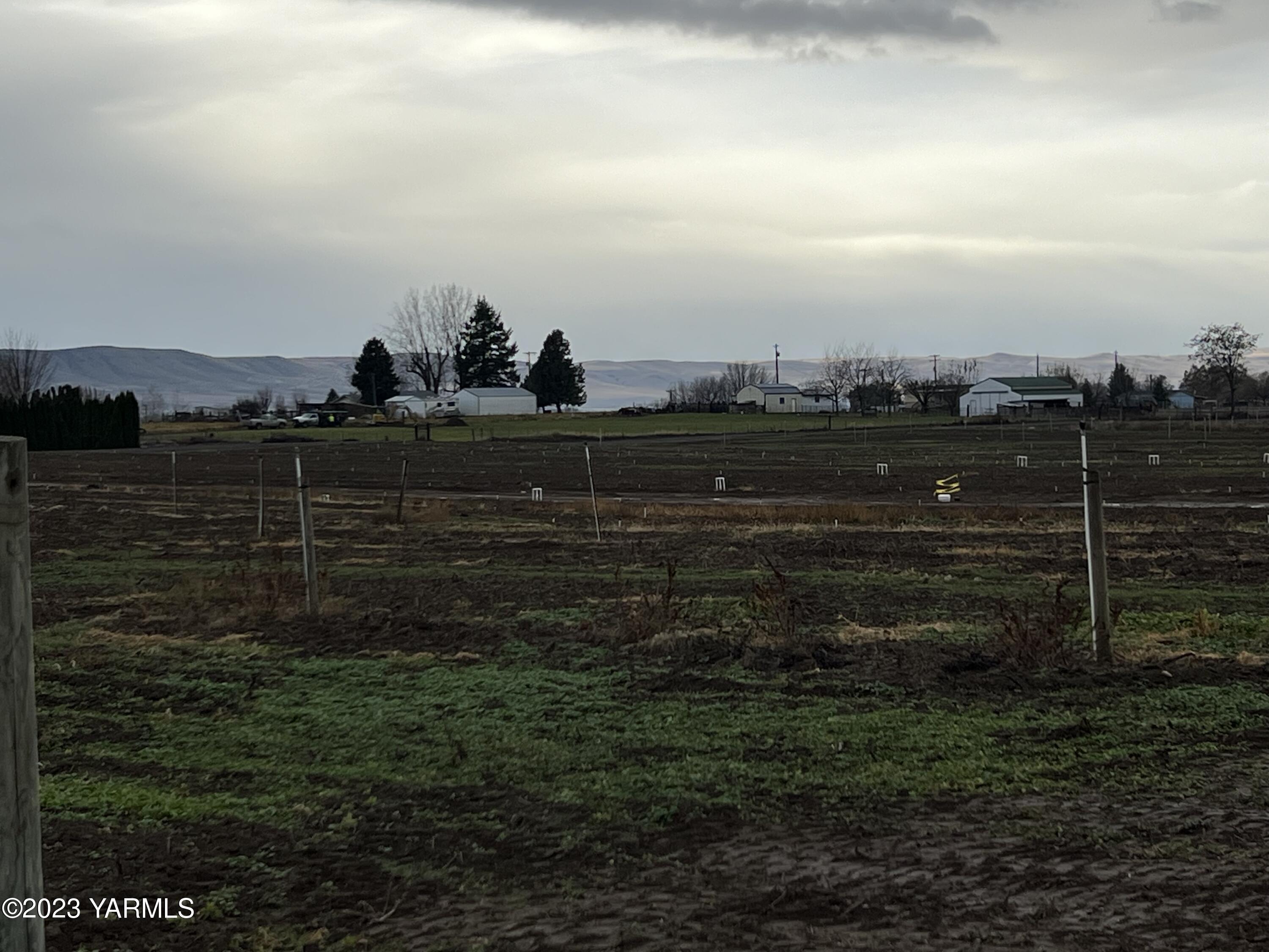 0 Hicks Road Grandview, WA 98930 - Photo 22 of 28 a view of a yard