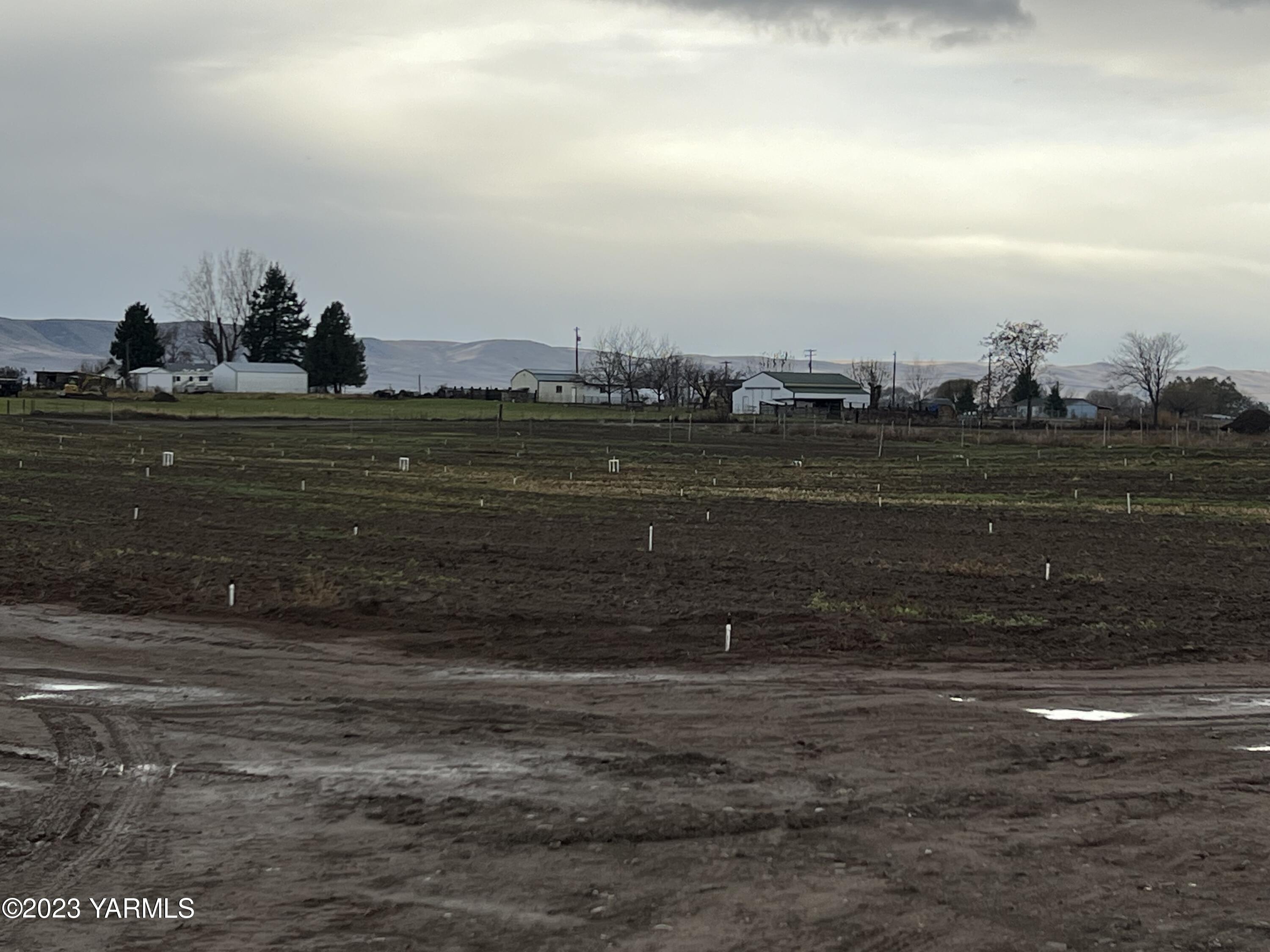 0 Hicks Road Grandview, WA 98930 - Photo 25 of 28