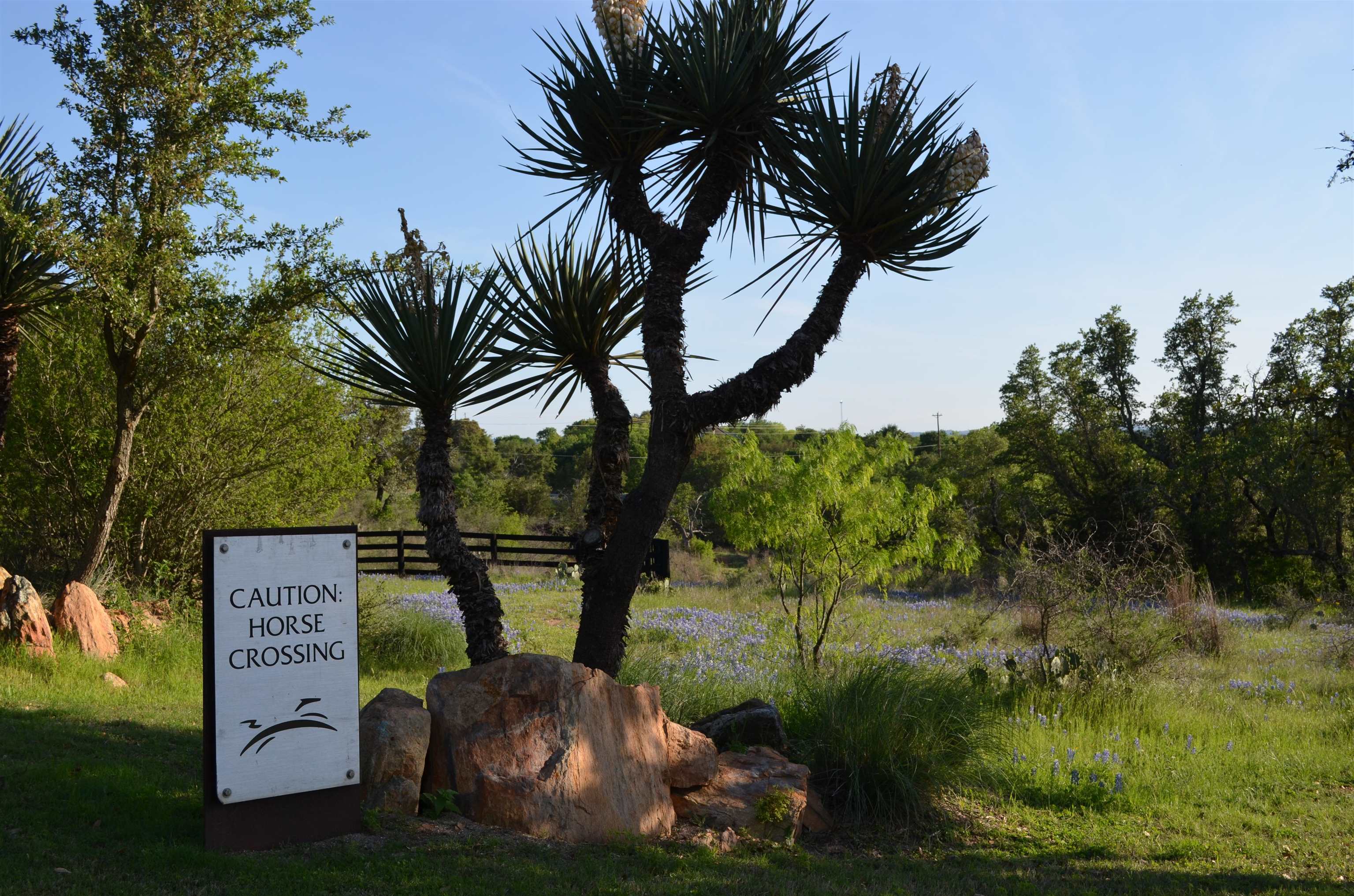 Lot 28 The Trails Parkway Horseshoe Bay, TX 78657 - Photo 23 of 30 a view of outdoor space with garden view