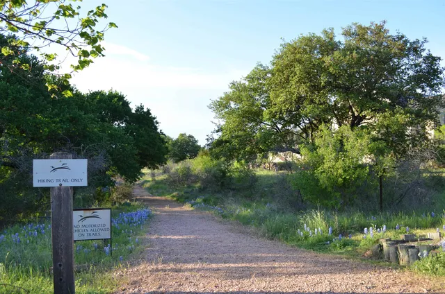 a view of a park with large trees