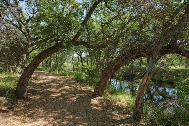 a backyard of a house with large trees and a forest