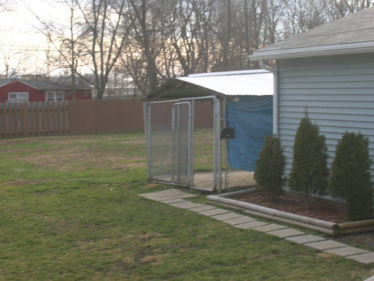 425 Barry Road Rockford, IL 61109 - Photo 5 of 5 a backyard of a house