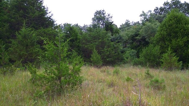 166 County Road Auxvasse, MO 65231 - Photo 16 of 27