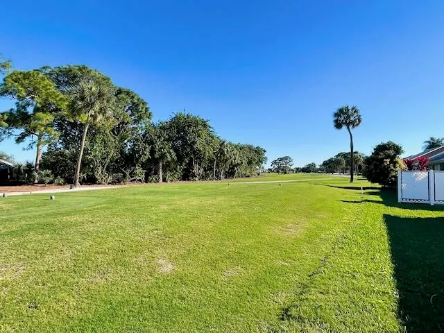 a view of field with tall trees