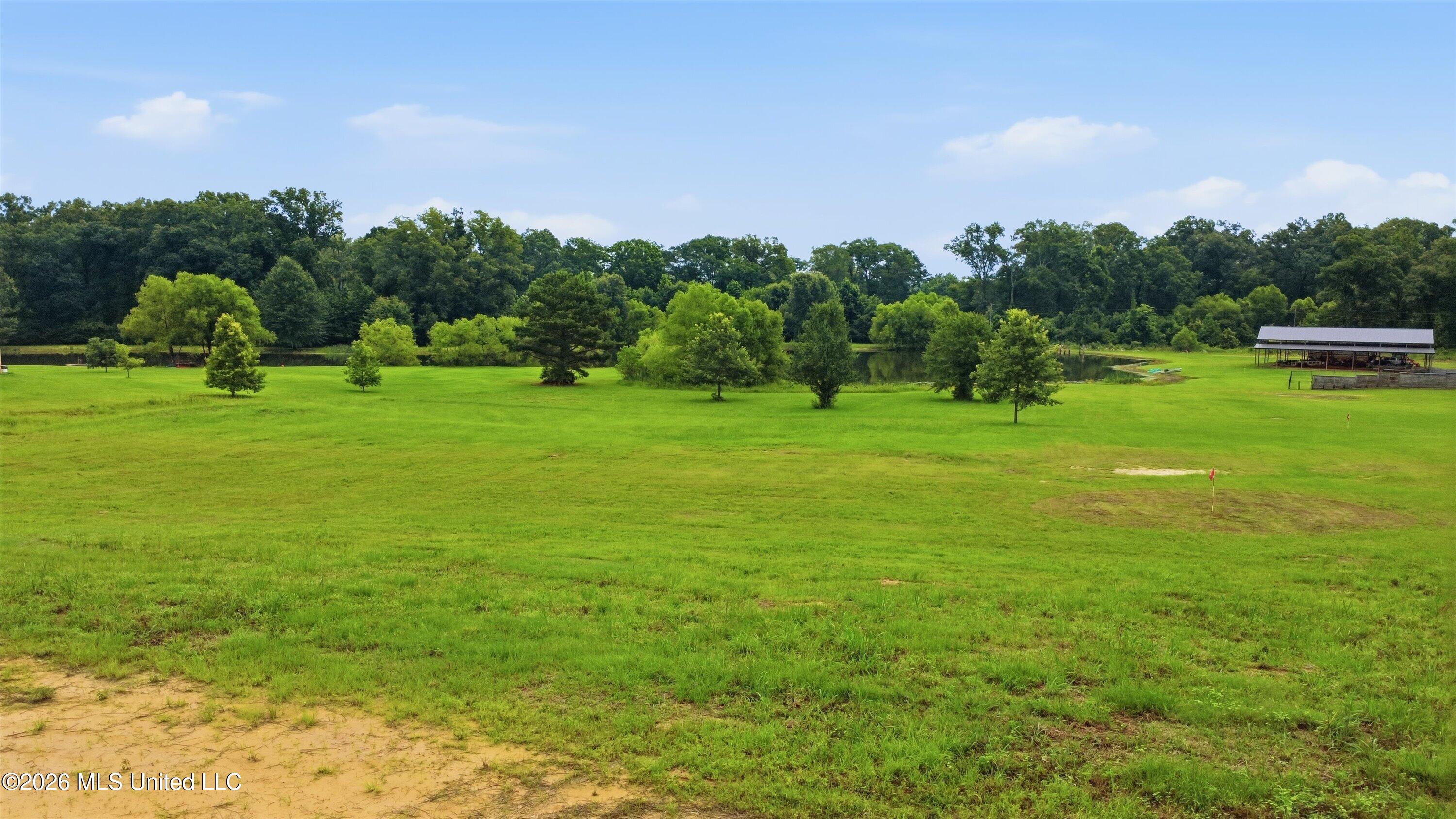142 Iron Oak Ridge Brandon, MS 39042 - Photo 11 of 26 15-142_Iron_Oak_Ridgee_016