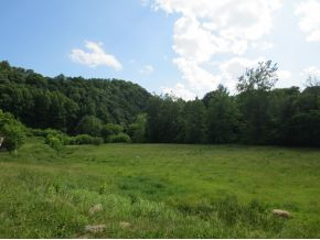 34603 Bucks Bridge Road Glade Spring, VA 24340 - Photo 23 of 24 Bottom Land across Road