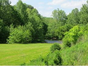 34603 Bucks Bridge Road Glade Spring, VA 24340 - Photo 5 of 24 View of River from left yard
