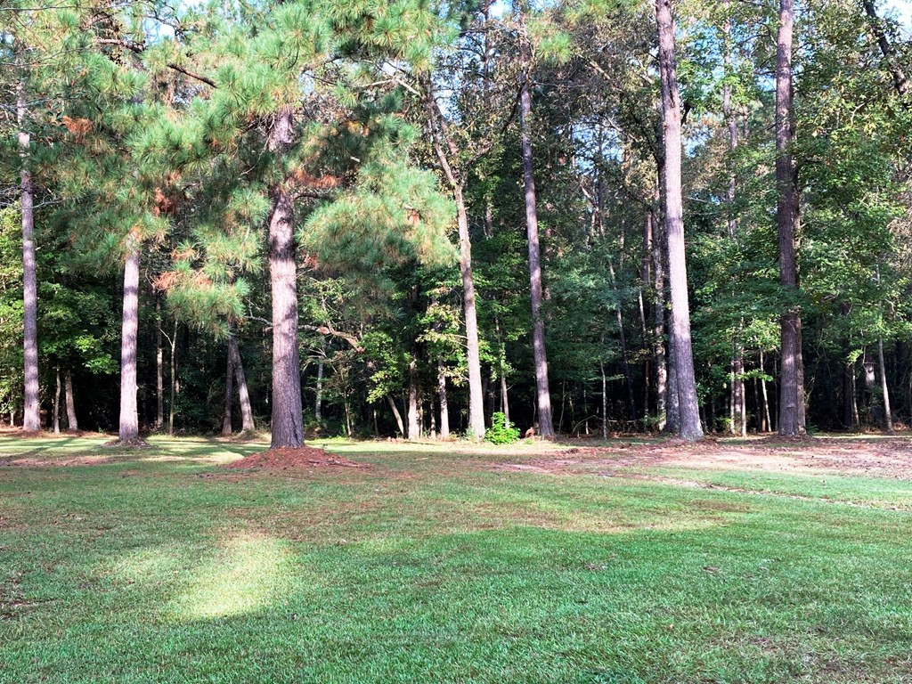 4069 Magnolia Pisgah Road Summit, MS 39666 - Photo 29 of 30 Back Yard to Woods