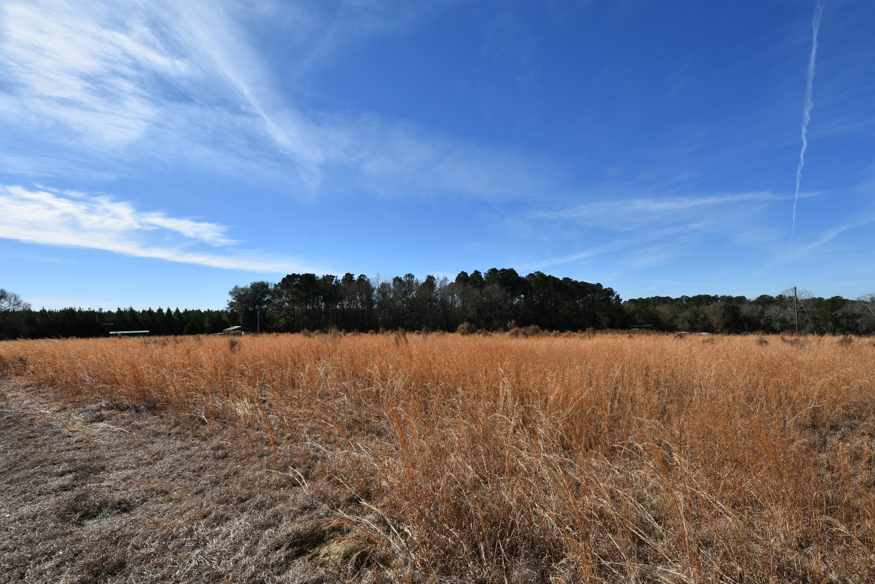 3080 Jack Road Laurel Hill, FL 32567 - Photo 8 of 18 3080 Jack Road 08