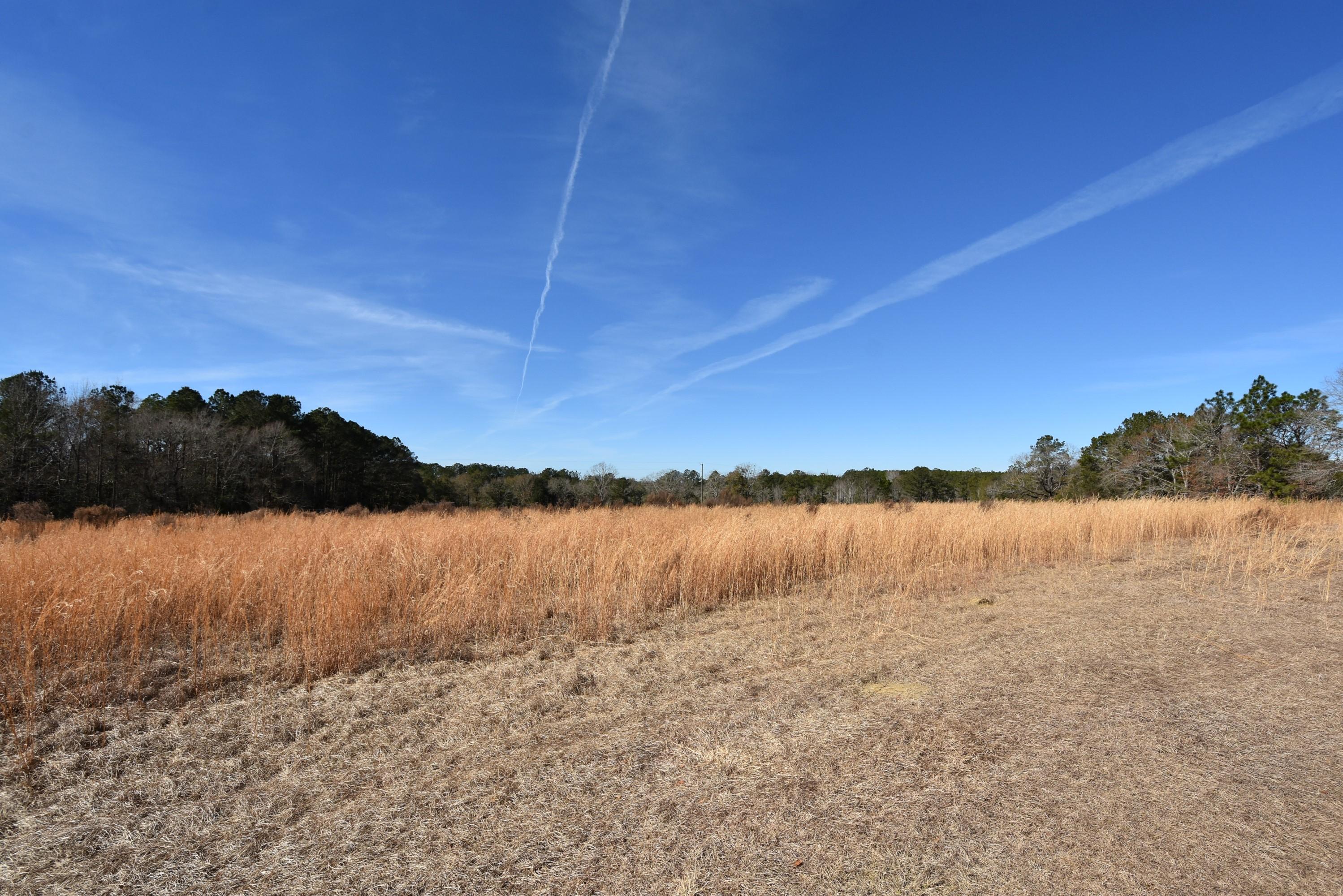 3080 Jack Road Laurel Hill, FL 32567 - Photo 10 of 18 3080 Jack Road 10