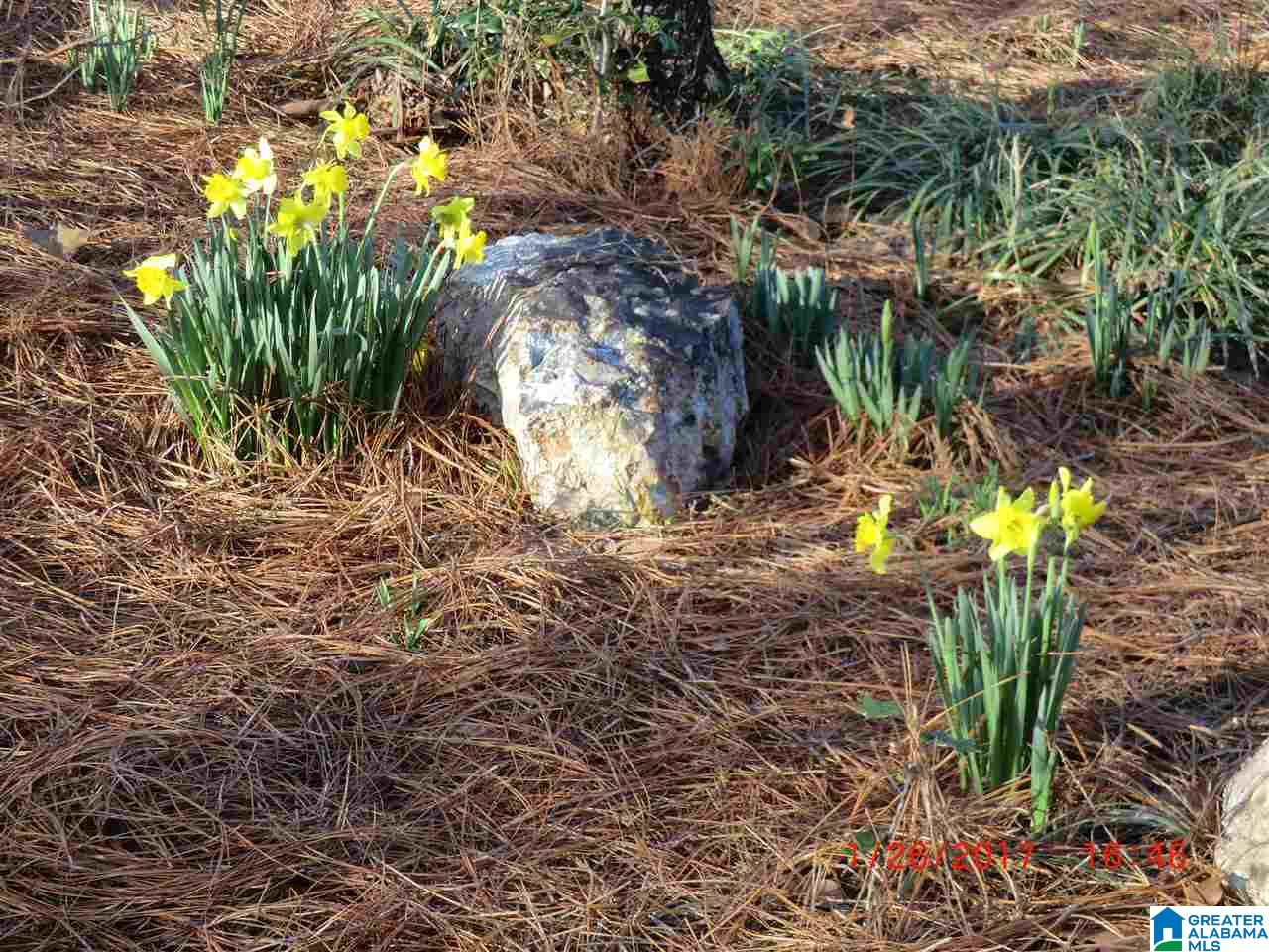 4658 Burning Tree Lane Pelham, AL 35124 - Photo 30 of 30