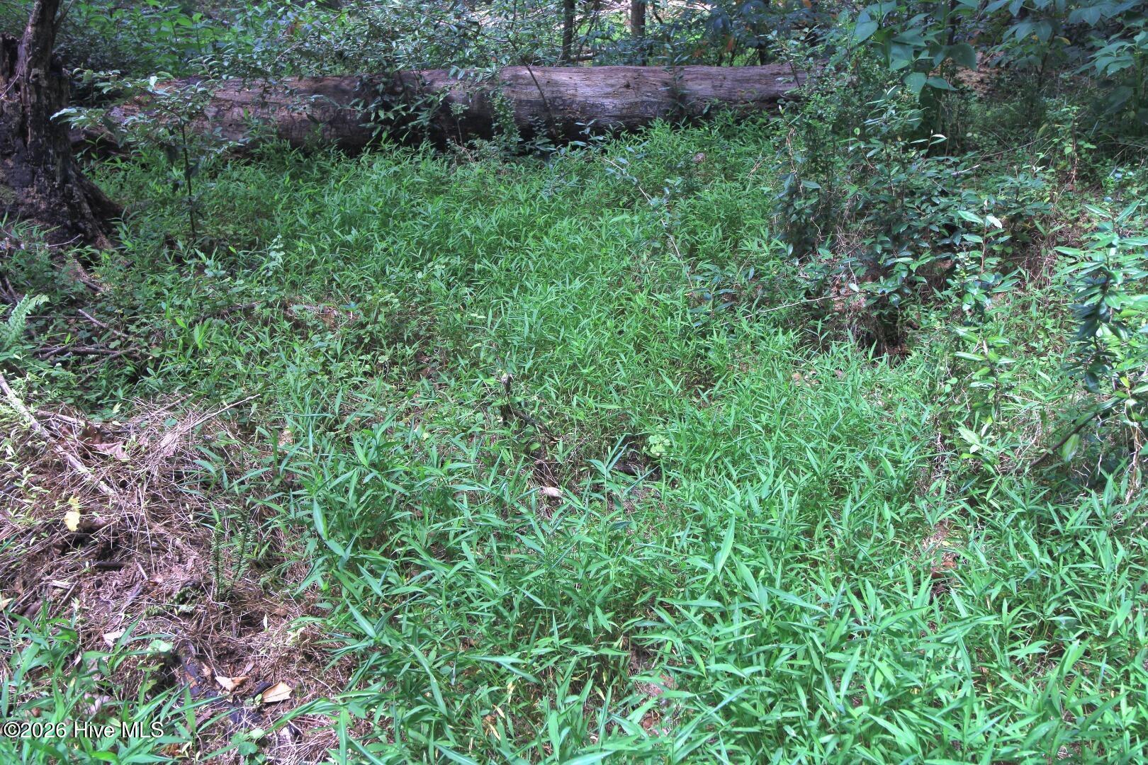 0 Laurel Rdg Road Durham, NC 27705 - Photo 29 of 36