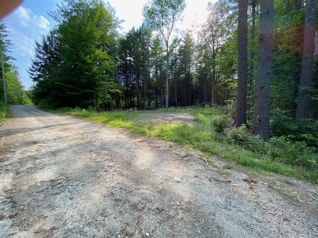 0 Iron Wood Road New Gloucester, ME 04260 - Photo 8 of 10 image1