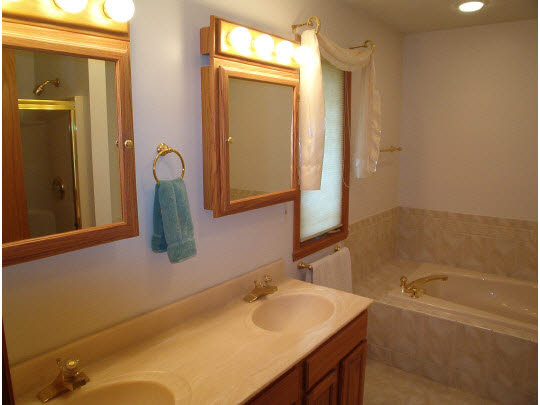 945 Lake Summerset Road Lake Summerset, IL 61019 - Photo 9 of 11 a bathroom with a sink and a mirror