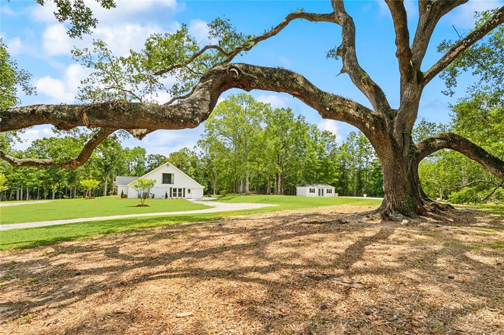 84012 North Factory Road Folsom, LA 70437 - Photo 4 of 26