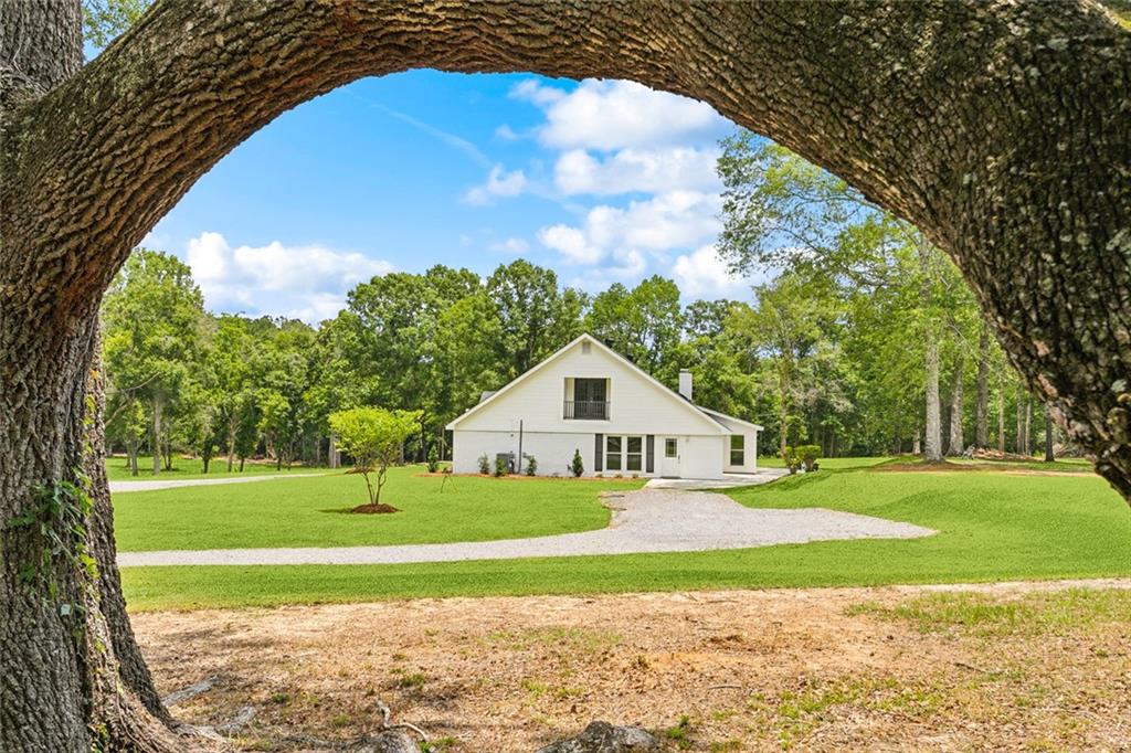 84012 North Factory Road Folsom, LA 70437 - Photo 6 of 26