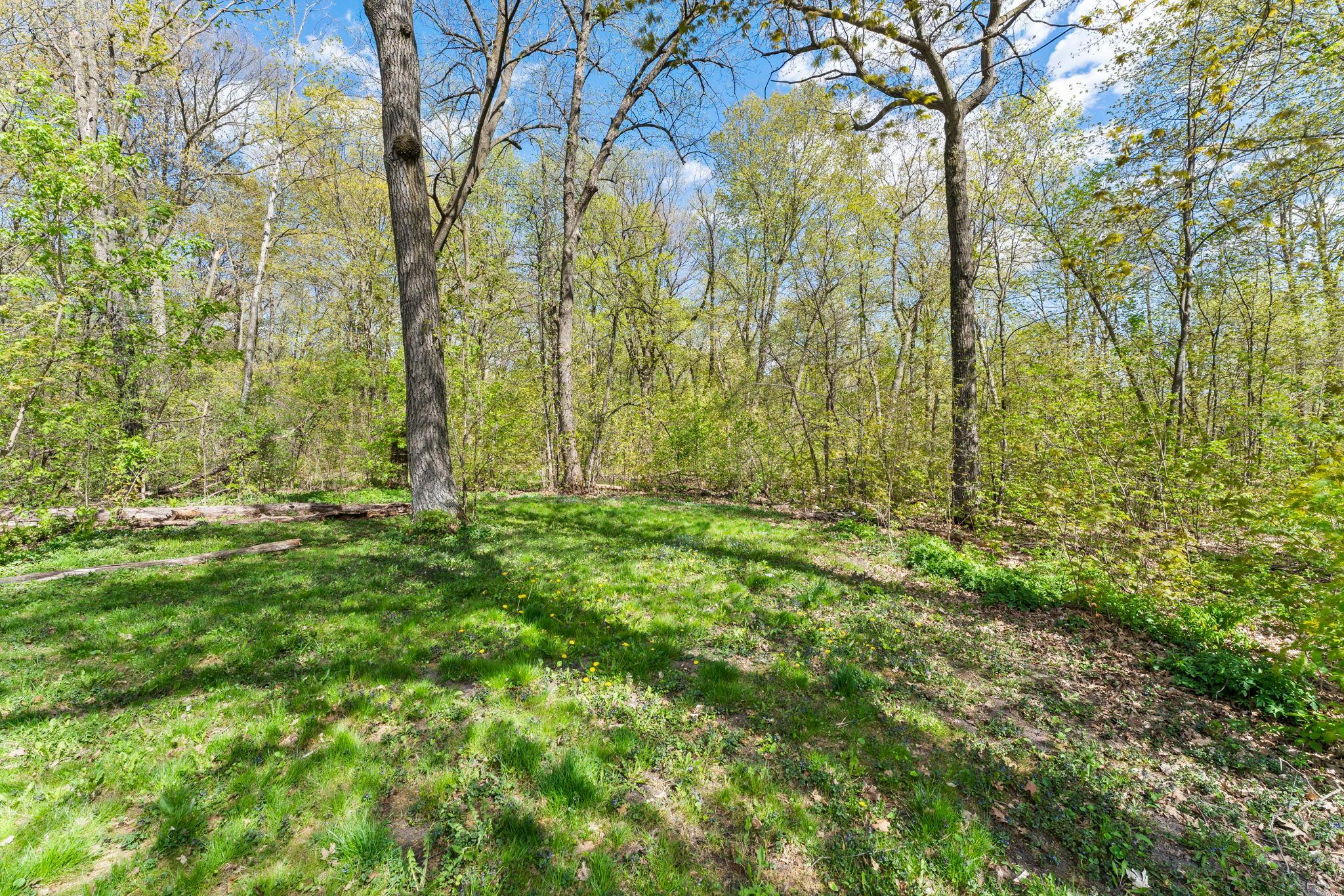 15312 Bison Road Swanville, MN 56382 - Photo 48 of 92