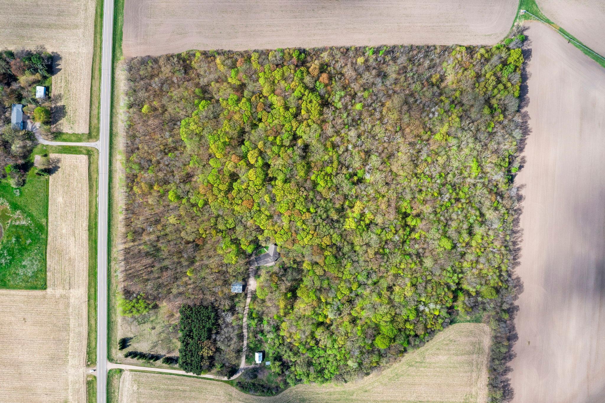 15312 Bison Road Swanville, MN 56382 - Photo 86 of 92