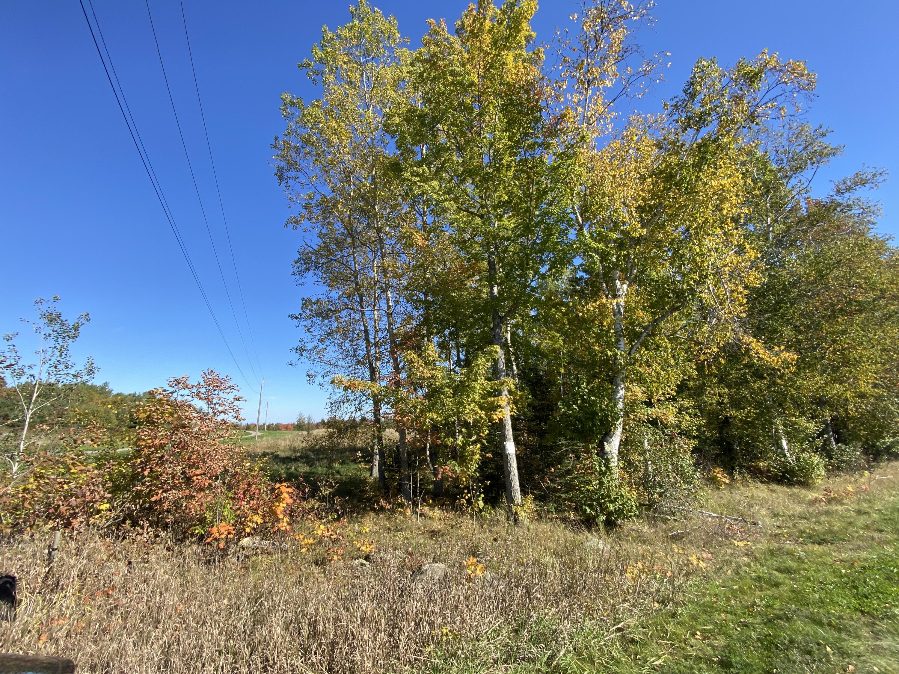 1031 Detroit Road Troy, ME 04987 - Photo 12 of 16 Photo Oct 07, 1 57 46 PM