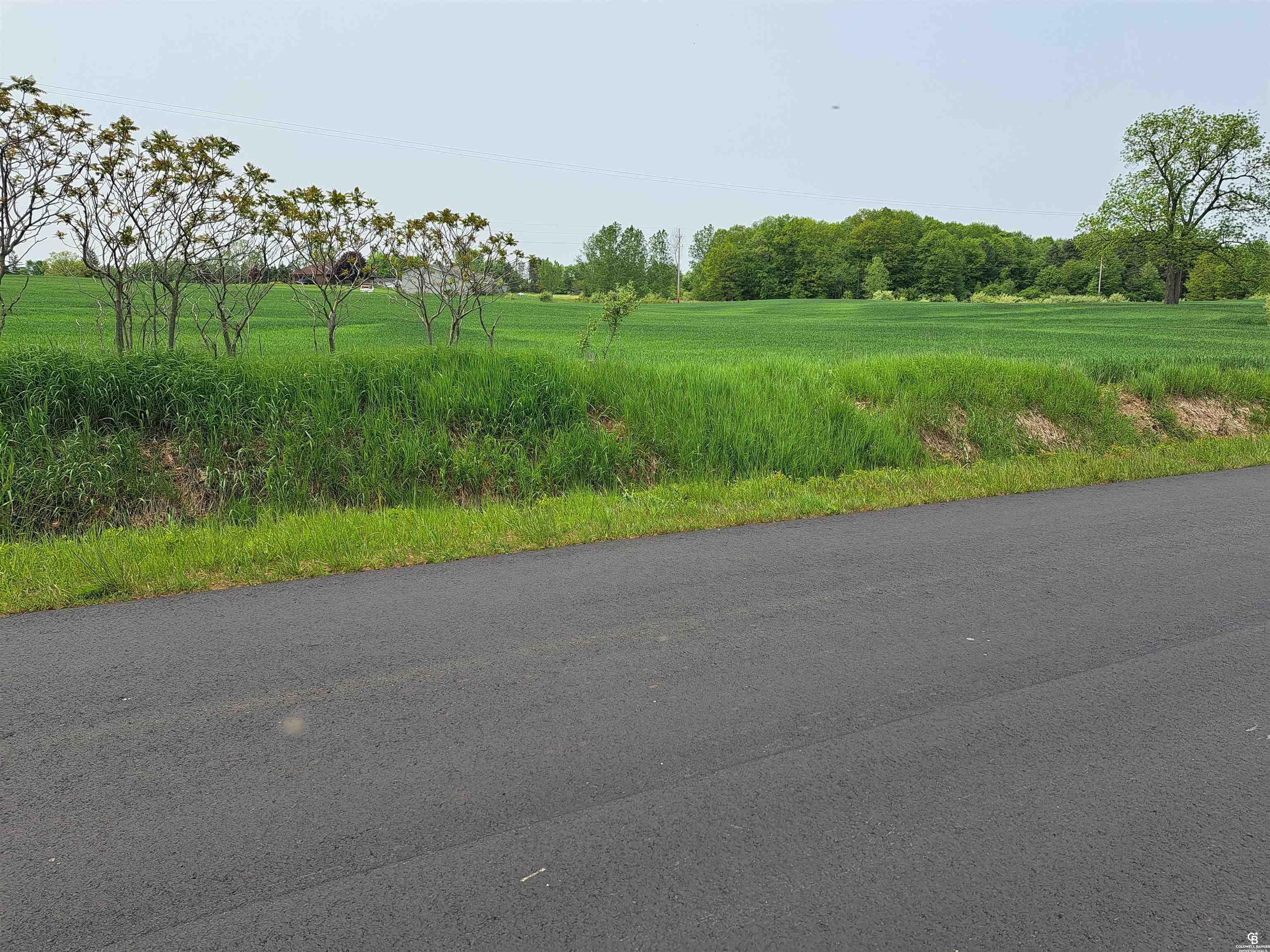 0 Parmenter Road Corunna, MI 48817 - Photo 5 of 6