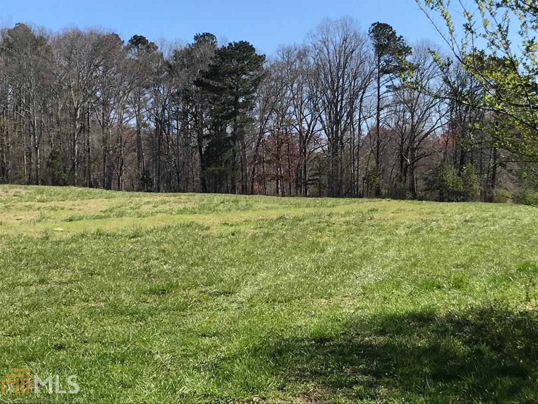 0 Drowning Creek Road Dacula, GA 30019 - Photo 1 of 1 Gallery Image 1