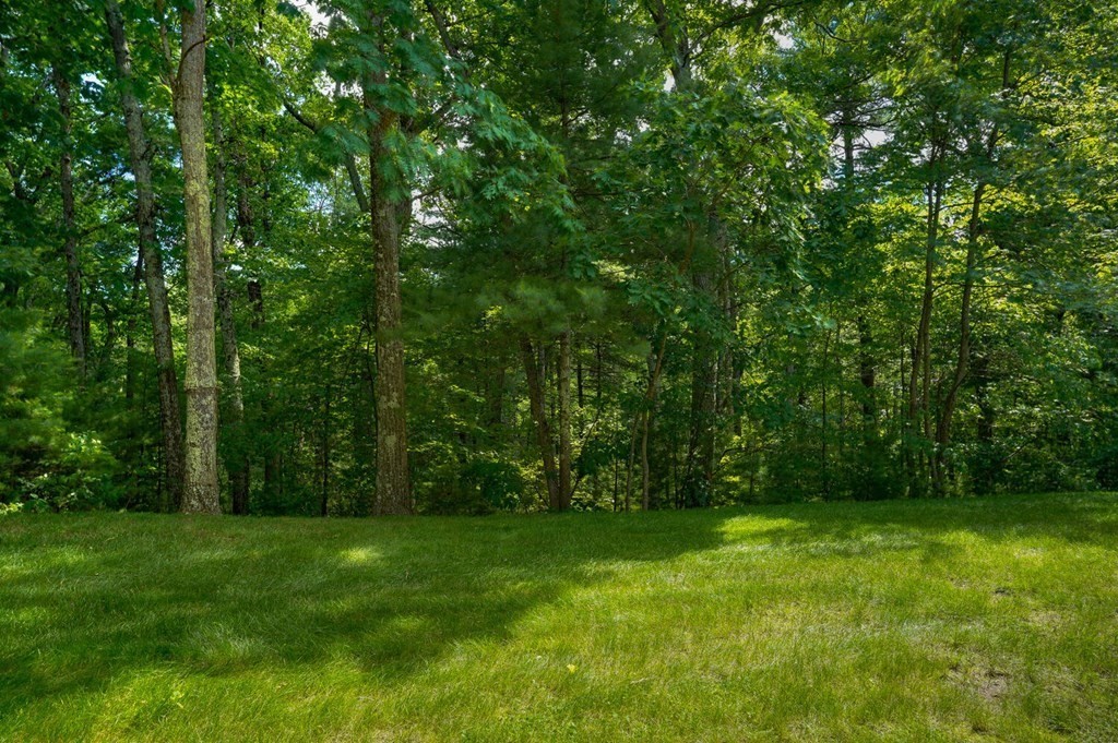42 Varley Road Marlborough, MA 01752 - Photo 4 of 34 Gallery Image 4