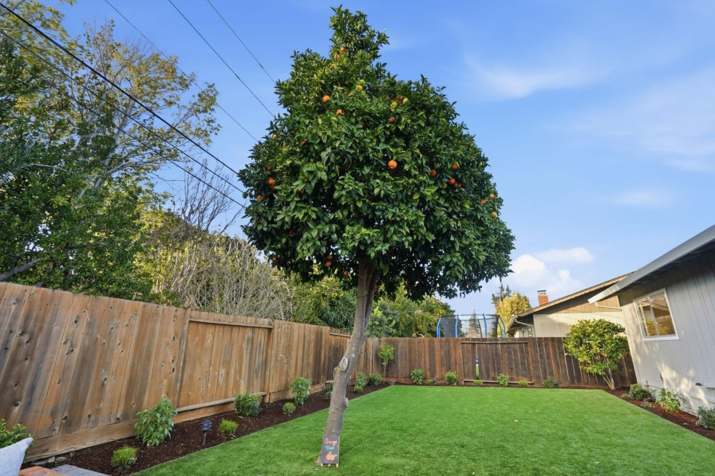 882 San Rafael Avenue Mountain View, CA 94043 - Photo 45 of 50 a view of backyard with wooden fence and a large tree