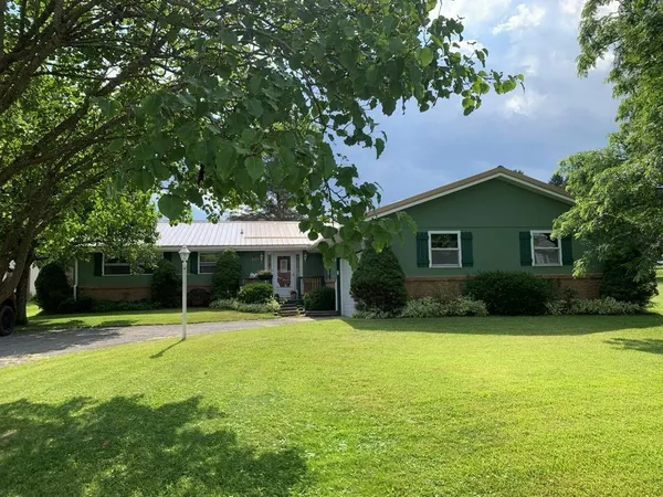a backyard of a house with plants and large tree