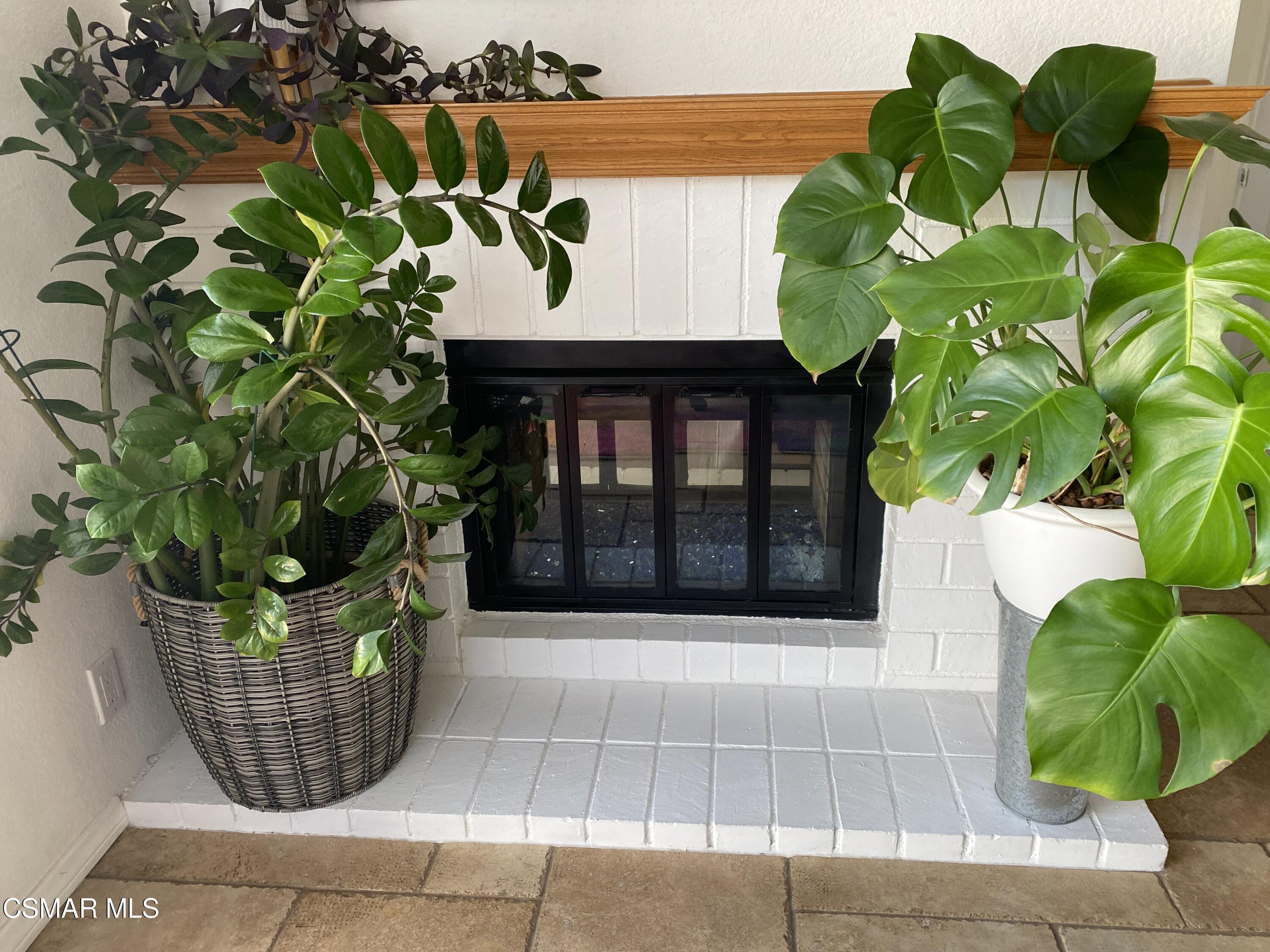 801 Congressional Road Simi Valley, CA 93065 - Photo 10 of 22 a view of a potted plant in front of a building
