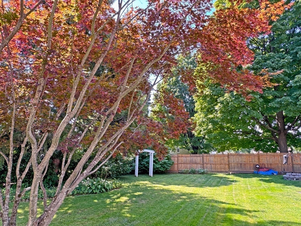 58 Shattuck Street Greenfield, MA 01301 - Photo 31 of 42