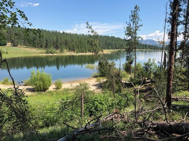 Xxx Tipton Road Kettle Falls, WA 99141 - Photo 12 of 15 Gallery Image 12