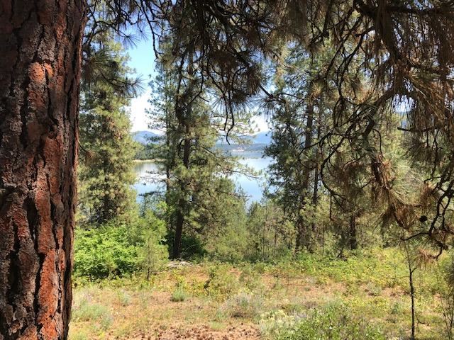 Xxx Tipton Road Kettle Falls, WA 99141 - Photo 8 of 15 Gallery Image 8
