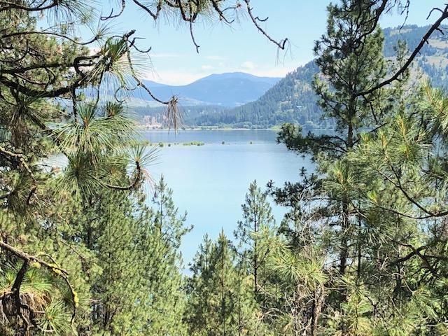 Xxx Tipton Road Kettle Falls, WA 99141 - Photo 9 of 15 Gallery Image 9